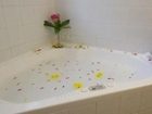 фото отеля Villa Nova Motel