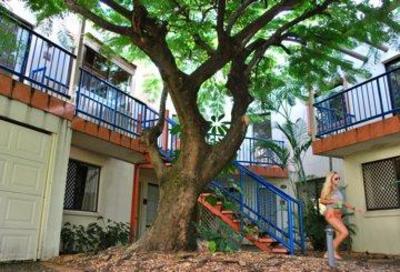 фото отеля Sleeping Inn Backpackers Gold Coast