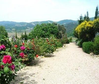 фото отеля IL Casello Country House Greve in Chianti