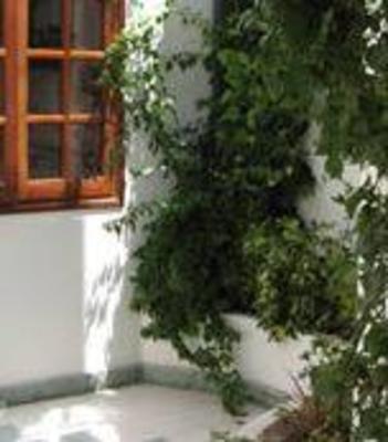 фото отеля Carpe Diem Bed & Breakfast