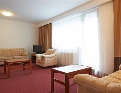 фото отеля ANA Hotel Bradul