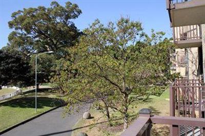 фото отеля Randwick Space