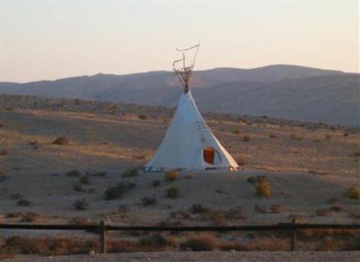 фото отеля Desert Olive Farm