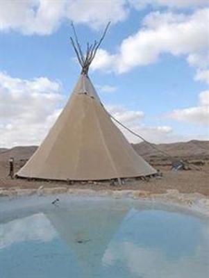 фото отеля Desert Olive Farm