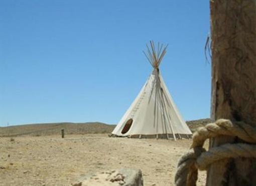 фото отеля Desert Olive Farm