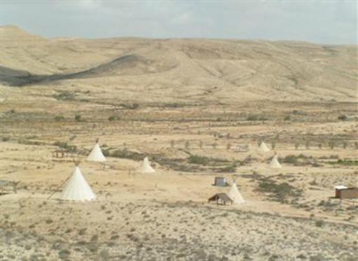 фото отеля Desert Olive Farm