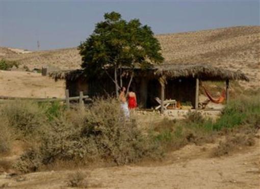 фото отеля Desert Olive Farm