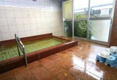 фото отеля Hotel Osumi