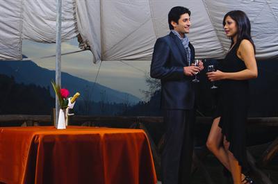 фото отеля Aveda Hotel Manali