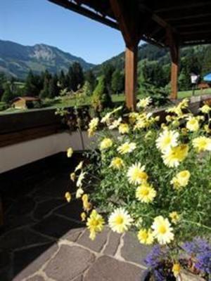фото отеля Berg- und Wellnesshotel Edelsberg