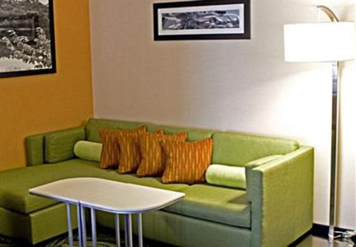фото отеля Springhill Suites Statesboro University Area
