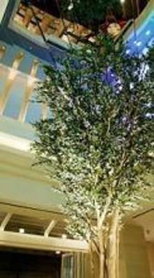 фото отеля Hotel Trusty Shinsaibashi