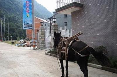 фото отеля Shuanglin Bozai Farmer House No.5 Villa