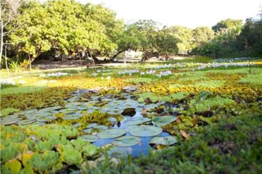 фото отеля Pousada Lagoa Caraiva