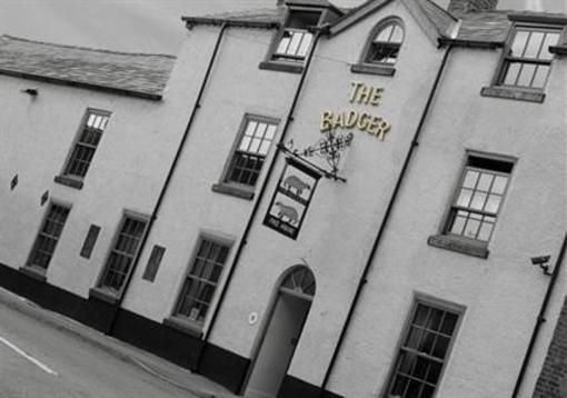 фото отеля The Badger Inn