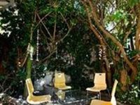 Sweet Orange Guest House