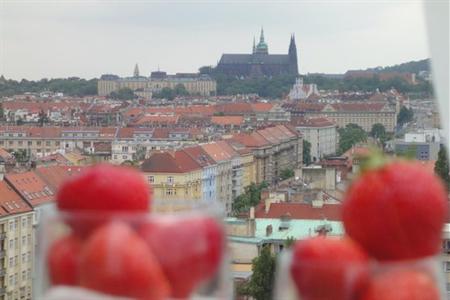 фото отеля Crowne Plaza Hotel Prague