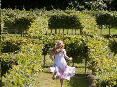 фото отеля Rhinefield House
