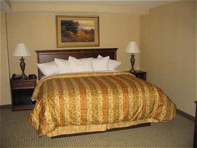 фото отеля Holiday Inn Hotel & Suites University Ann Arbor