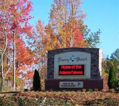 фото отеля Hampton Inn & Suites Flowery Branch