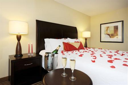 фото отеля Hilton Garden Inn Atlanta Airport North