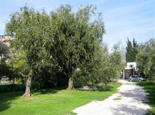 фото отеля Casa Sandra Bertolini Appartamenti