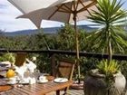 фото отеля Hog Hollow Country Lodge Plettenberg Bay