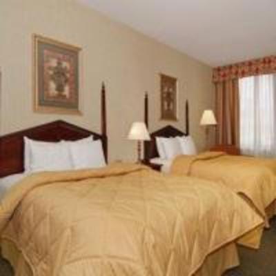 фото отеля Comfort Inn Downtown Memphis