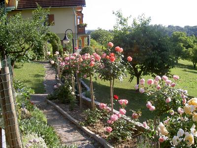 фото отеля Ferienwohnungen Soravia