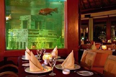 фото отеля Melia Cozumel All Inclusive Golf & Beach Resort
