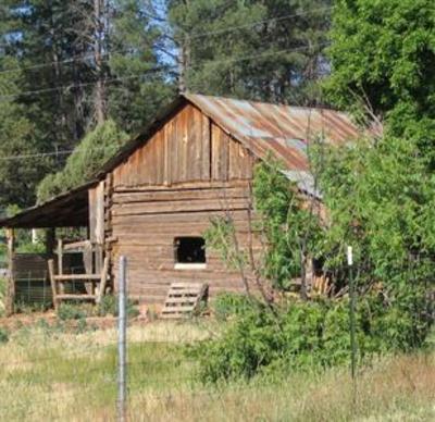 фото отеля Kamp Kiwis Cabins