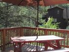 фото отеля Kamp Kiwis Cabins