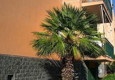 фото отеля Residence Holidays
