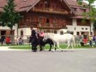 фото отеля Bauernhof Beim Jedinger Am Irrsee