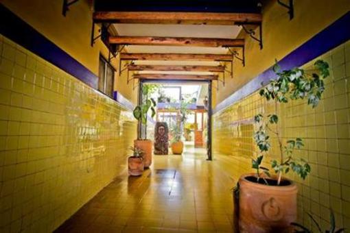 фото отеля Hostel Allende
