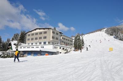 фото отеля Alpenrose Sport Hotel