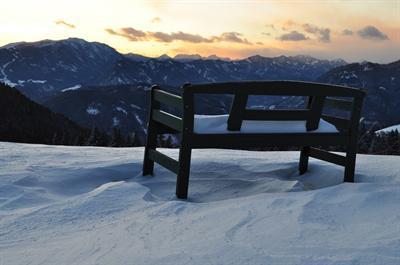 фото отеля Alpenrose Sport Hotel