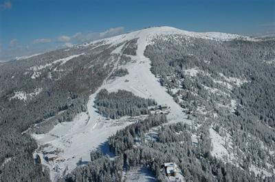 фото отеля Alpenrose Sport Hotel