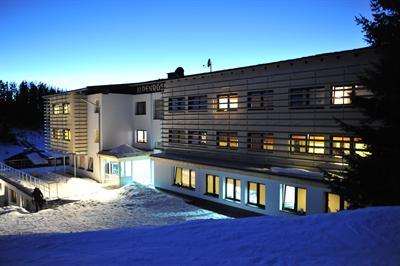 фото отеля Alpenrose Sport Hotel
