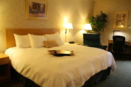 фото отеля Hampton Inn Syracuse North (Airport Area)