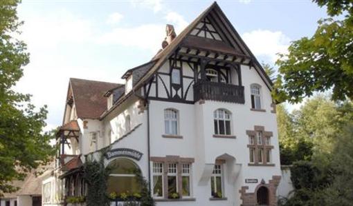 фото отеля Hotel Dammenmuhle Lahr