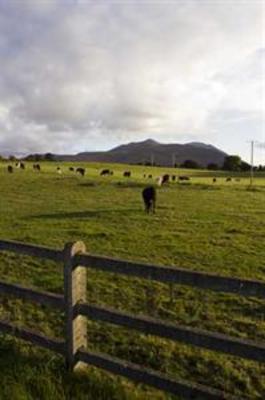 фото отеля Dunloe View Hostel
