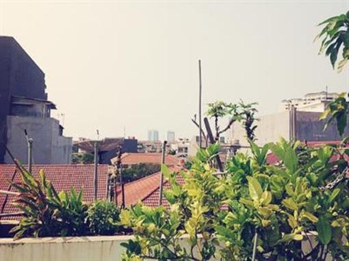 фото отеля Hippo Homestay