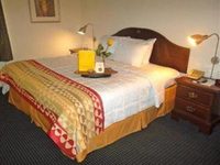 Nuevo Inn & Suites
