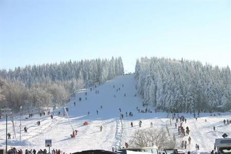 фото отеля BEST WESTERN Waldhotel Stephanshoehe