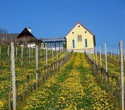 фото отеля Bauernhof Peiserhof Wein & Ferien