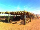 фото отеля The Caravans Camp Wadi Rum