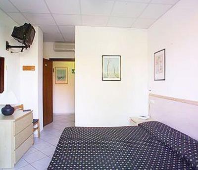 фото отеля Hotel Delle Mimose