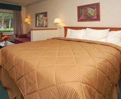 фото отеля Comfort Inn And Suites Airport South San Francisco