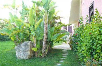 фото отеля B&B Lu Casale